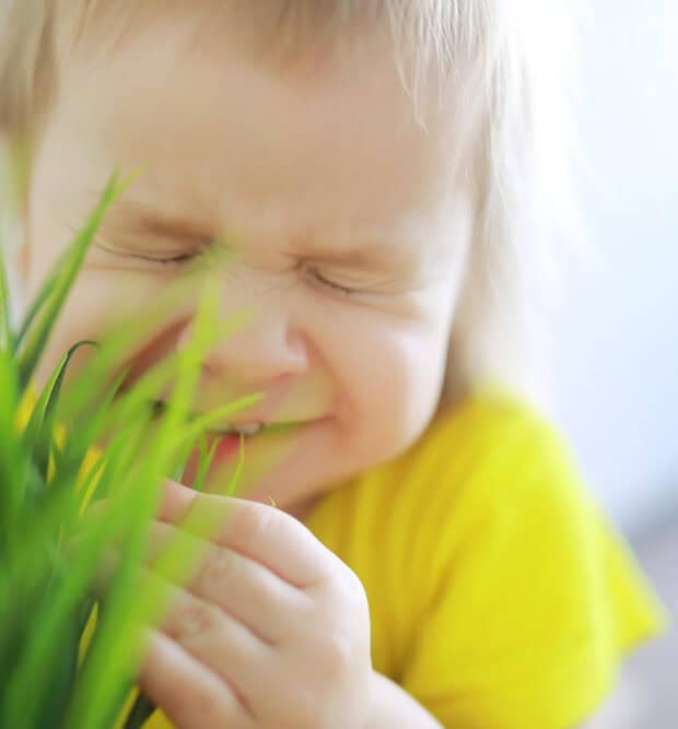 A young girl trying not to sneeze next to a plant that causes her pediatric allergies